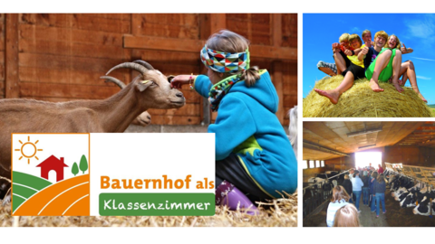 Bauernhof als KLassenzimmer
