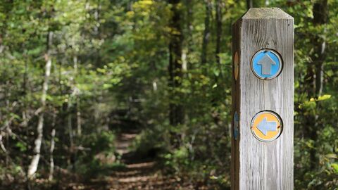 Weigweiser Wegweiser im Wald