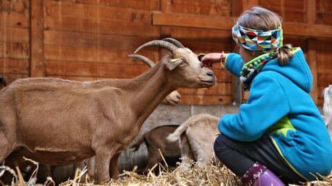 Kind mit Ziege sitzend